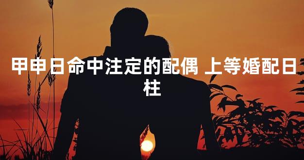 甲申日命中注定的配偶 上等婚配日柱